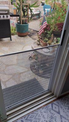 Screen door with pet screen and a metal pet guard...