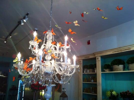 Capture spring in flight at RW Maggs Designs.