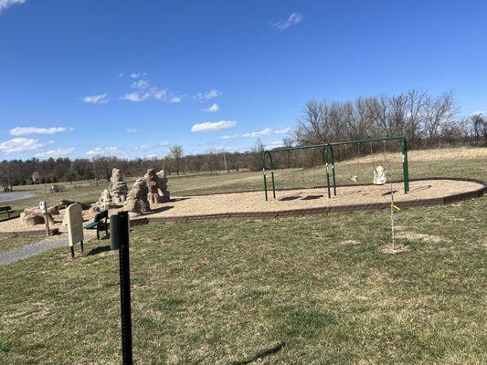 Swing set & play area