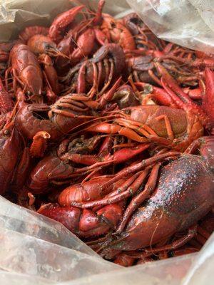 Crawfish  yummm