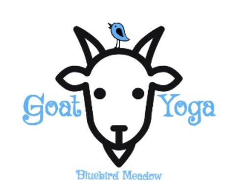 Bluebird Meadow Goat Yoga