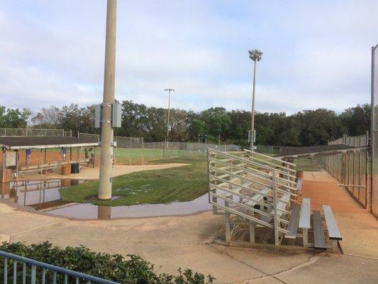 The back field can get a little wet from the sprinklers.