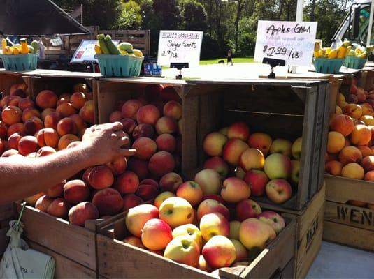 Three Springs Fruit Farm