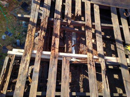 Rafter damage