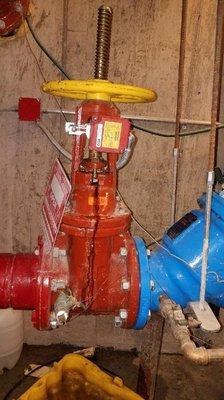 6" backflow valve repair.