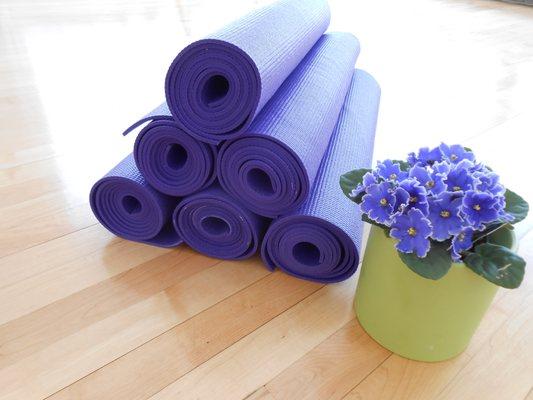 Yoga Mats (purple) & African violets