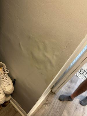 Water damage in closet