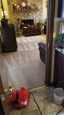 Universal Carpet Cleaning