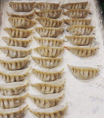 Handmade gyozas fresh everyday come and get yours today