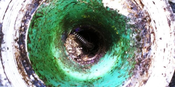 Broken sewer tap clogged with roots.
We cleared it and notified the utility company.