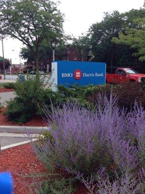 BMO Harris Bank