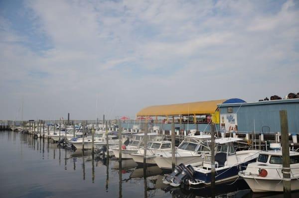 Marina on The Bay - 150 slips for boats to 50 feet (summer and winter storage) and transient dockage up to 110 ft, travel lift