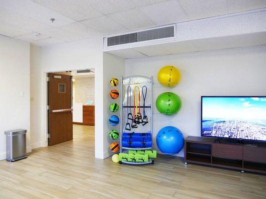 Physical Therapy Gym