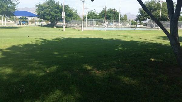 Franklin Park - Playground & Courts