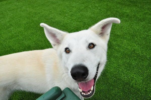 Kaycee is always smiling out in DayCare.