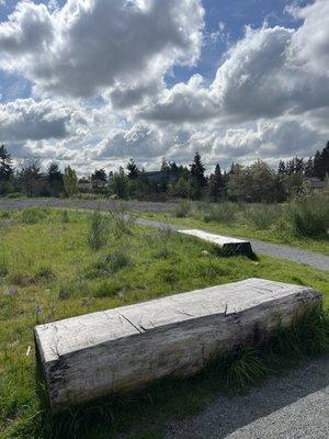 A couple of log benches to sit