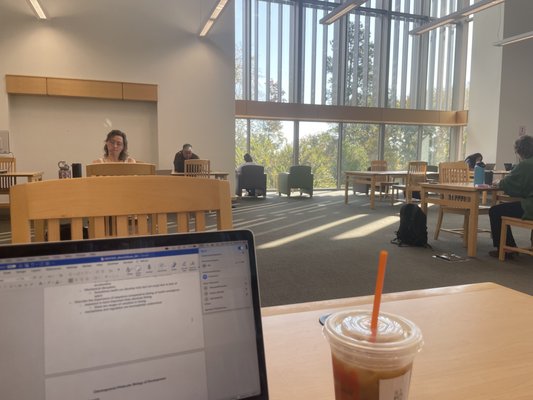 View from a study table