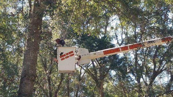 Bucket Truck