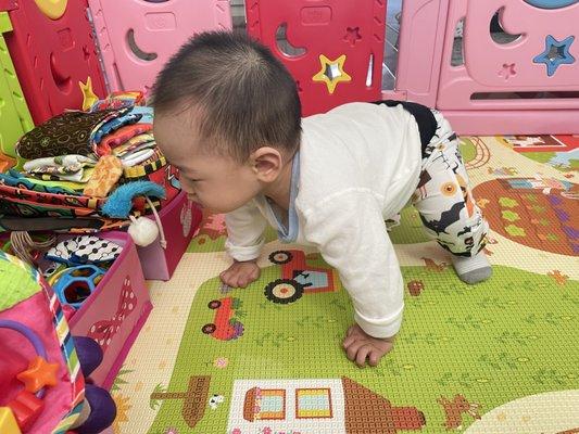 Playing and exercising his arms and legs! Ready to get active!