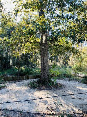 Garden at trail head.