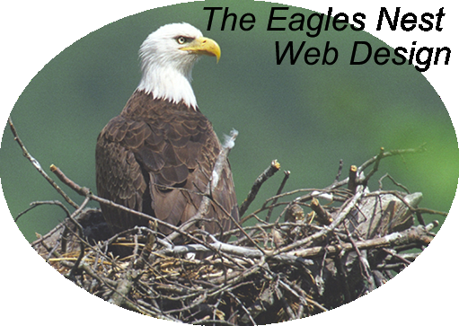 Keene's LOCAL Web Design for small business or individuals - The Eagles Nest Web Design