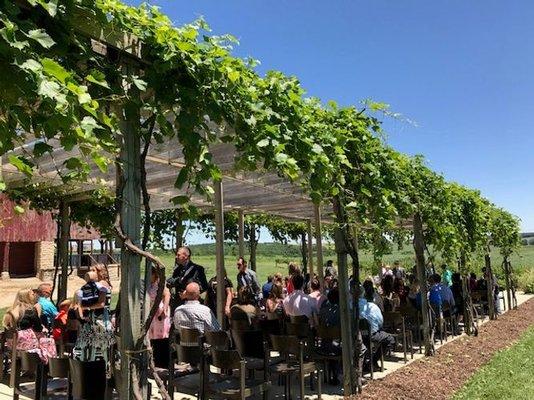 Wedding in the Vineyard