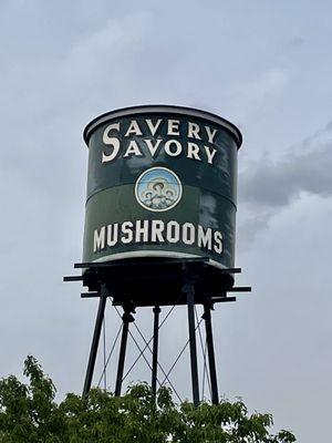 Savery Farm Mushroom Pond