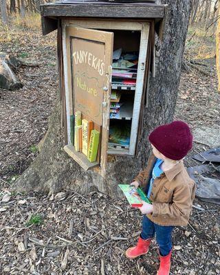 Free little library in the nature playground.