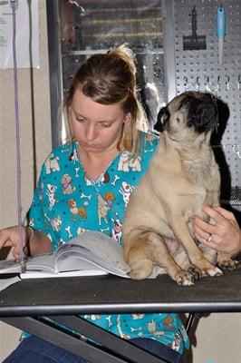 Laura and " Chevy" studying at Golden Paws where we make dreams come true!!!