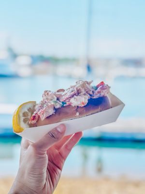 (sm) Cold lobster roll by the water