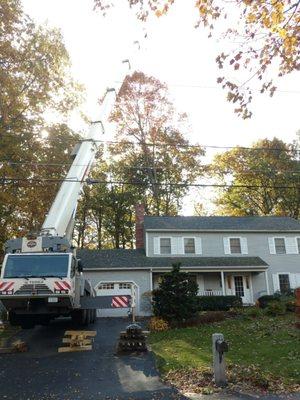 Souhegan Valley Tree Service