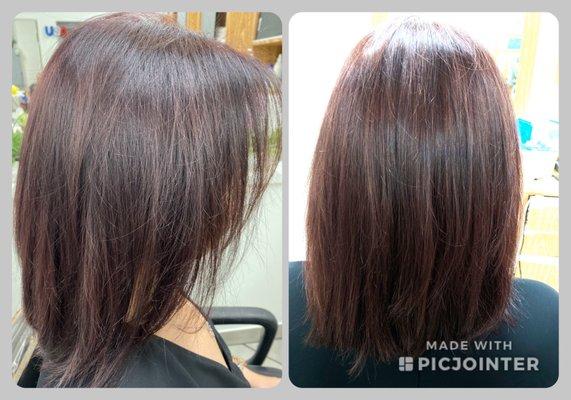 Full color service and haircut