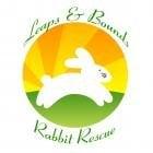 Leaps & Bounds Rabbit Rescue