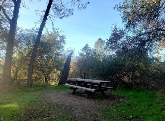 Handful of picnic spots along the way