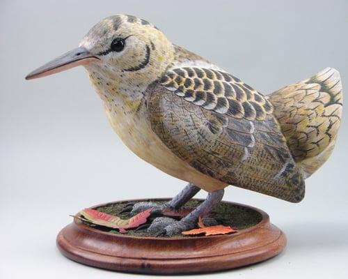 Bird Carvings From the Wild