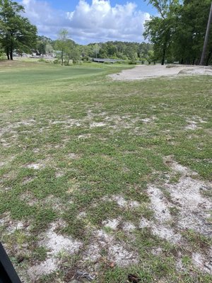 Green side fairway / rough