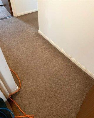 Carpet Cleaning Services Roseburg Oregon