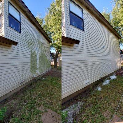 Softwash mildew removal