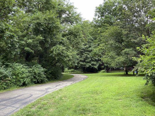 Small Open Area Along the Trail