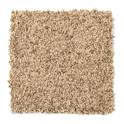 Mohawk Carpet