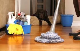 Pets?! No worries! We use pet and human friendly cleaning agents!