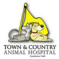 Jane Chetkowski, DVM - Town & Country Animal Hospital