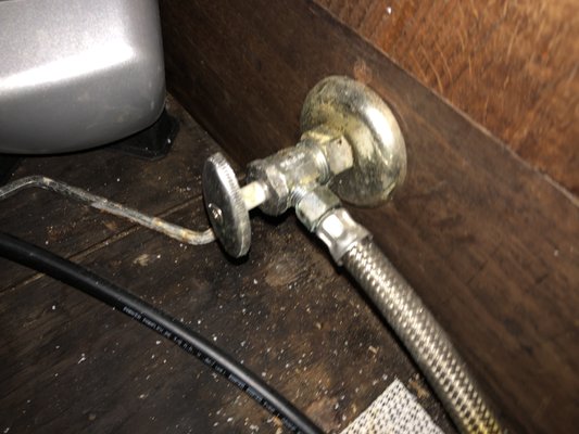 Water damage under sink = mold present.  typical but needs removal