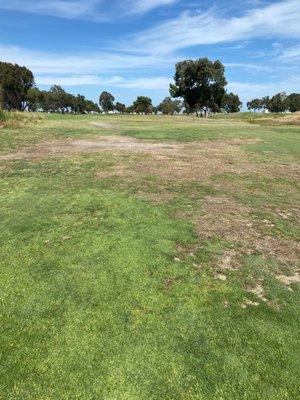 Fairway on #11.