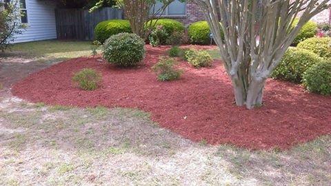 Mulch Installation