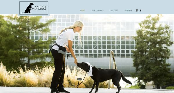 Connect Canine Training website design