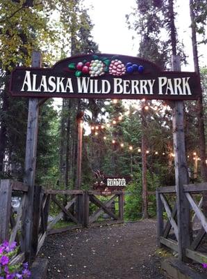 Alaska Wild Berry Products