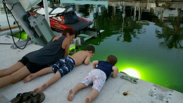 The Grandkids are so intrigued by the backyard aquarium...