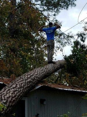 Storm Damage removals no problem, No Crane Required Highly Professional Arborist, Fully Licensed Bonded Insured