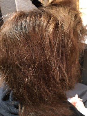 Client's coarse frizzy hair before Brazilian blowout